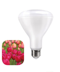 LED žiarovka pre kvitnutie rastlín 12W, E27, IP44