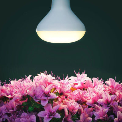 led-žiarovka-pre-kvitnutie-rastlín-12w-e27