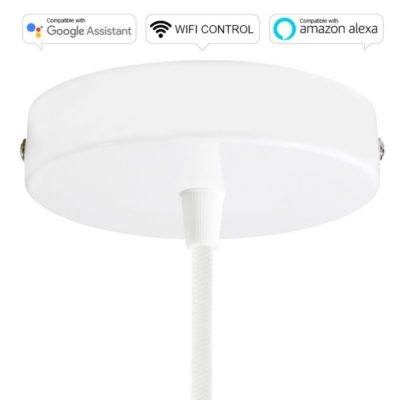 SMART WIFI Stropná rozeta kompatibilná s hlasovými asistentmi Google Home a Amazon Alexa, biela